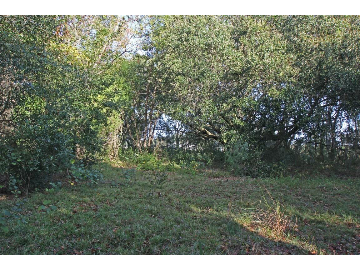 0 Patricia Drive Bartow FL 33830 L4948414 image15