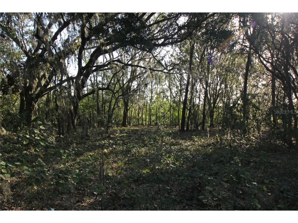 0 Patricia Drive Bartow FL 33830 L4948414 image16