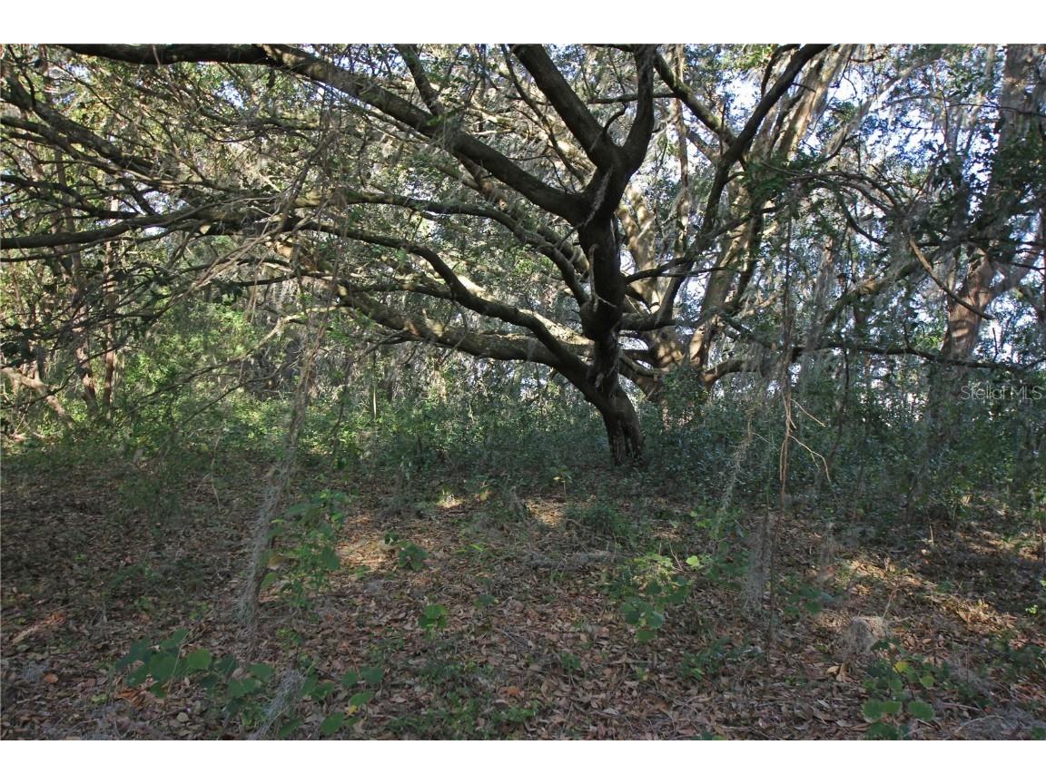 0 Patricia Drive Bartow FL 33830 L4948414 image17