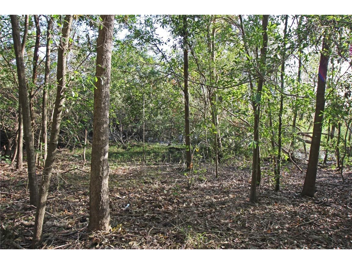 0 Patricia Drive Bartow FL 33830 L4948414 image19