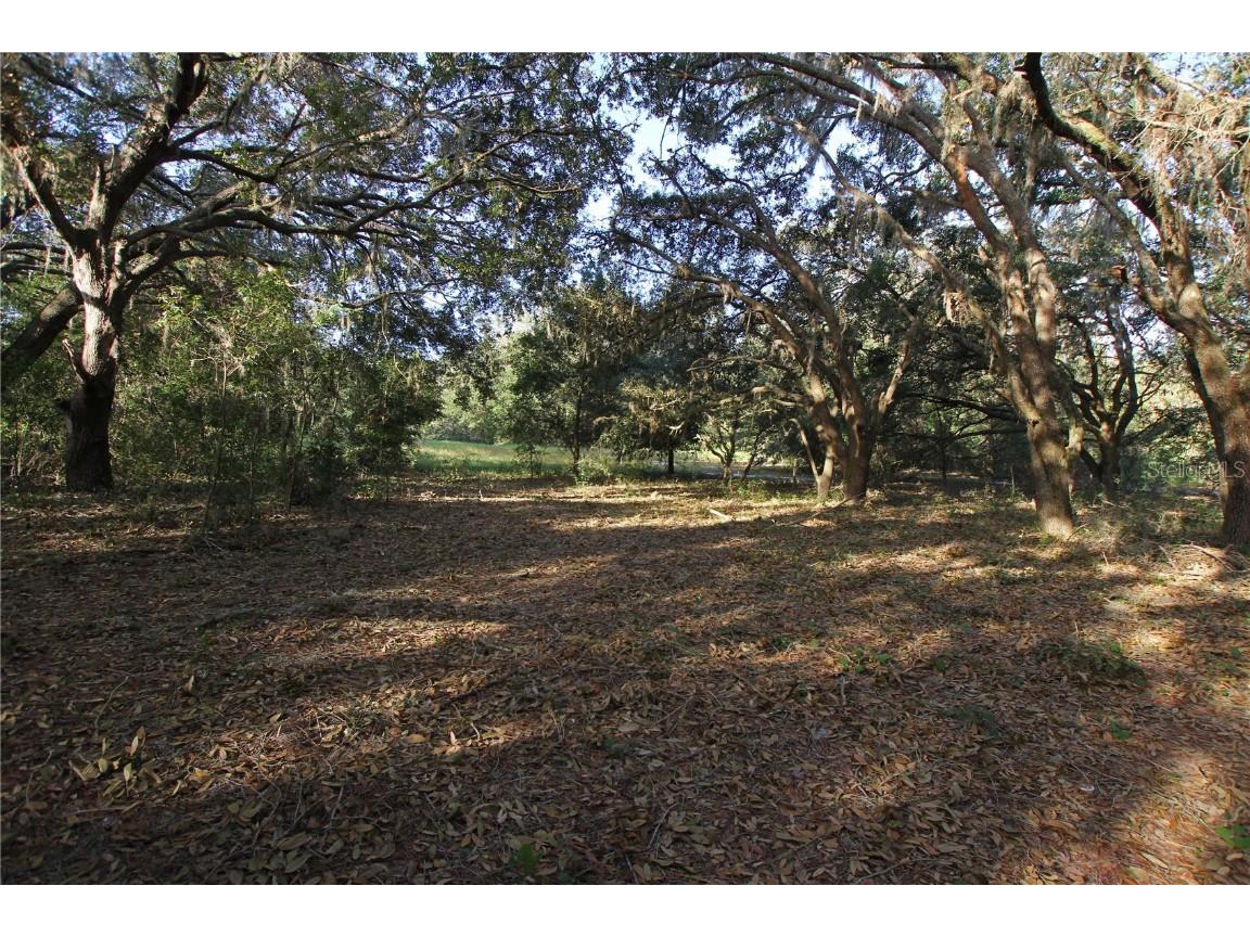 0 Patricia Drive Bartow FL 33830 L4948414 image2