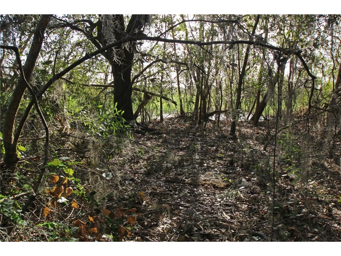 0 Patricia Drive Bartow FL 33830 L4948414 image20