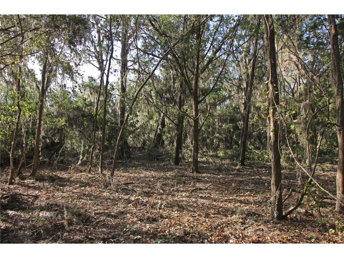 0 Patricia Drive Bartow FL 33830 L4948414 image21