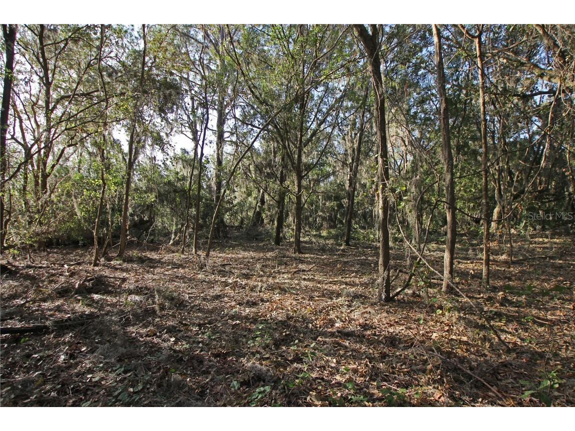 0 Patricia Drive Bartow FL 33830 L4948414 image22