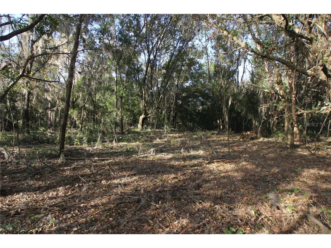 0 Patricia Drive Bartow FL 33830 L4948414 image24