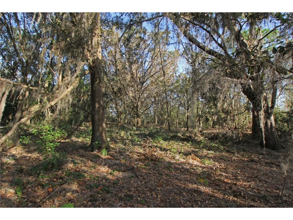 0 Patricia Drive Bartow FL 33830 L4948414 image25