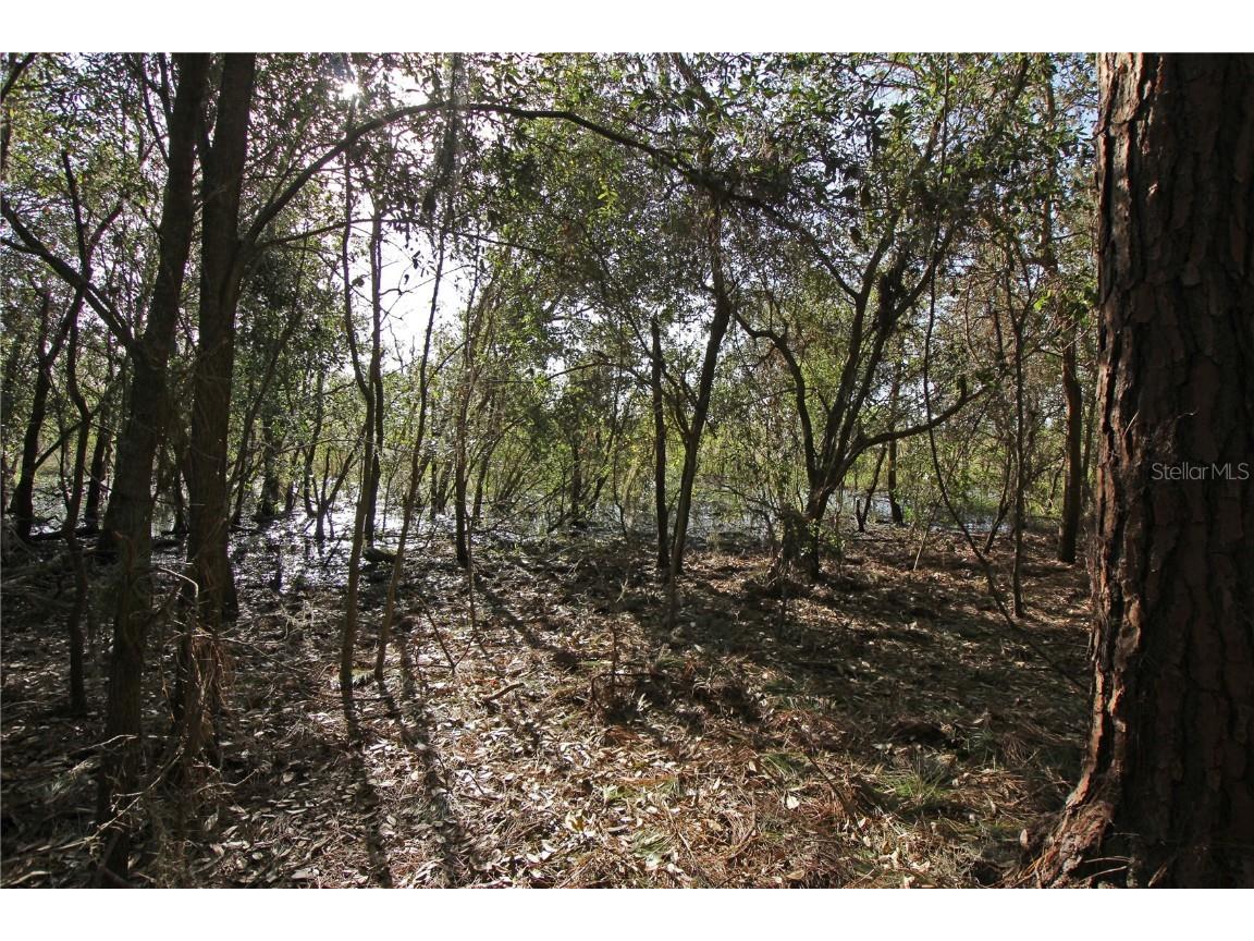 0 Patricia Drive Bartow FL 33830 L4948414 image26