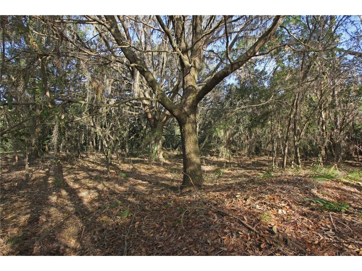 0 Patricia Drive Bartow FL 33830 L4948414 image27