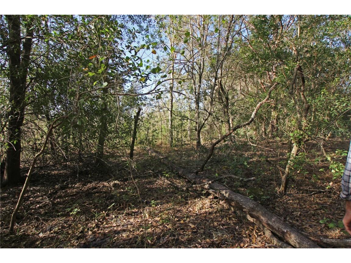 0 Patricia Drive Bartow FL 33830 L4948414 image28