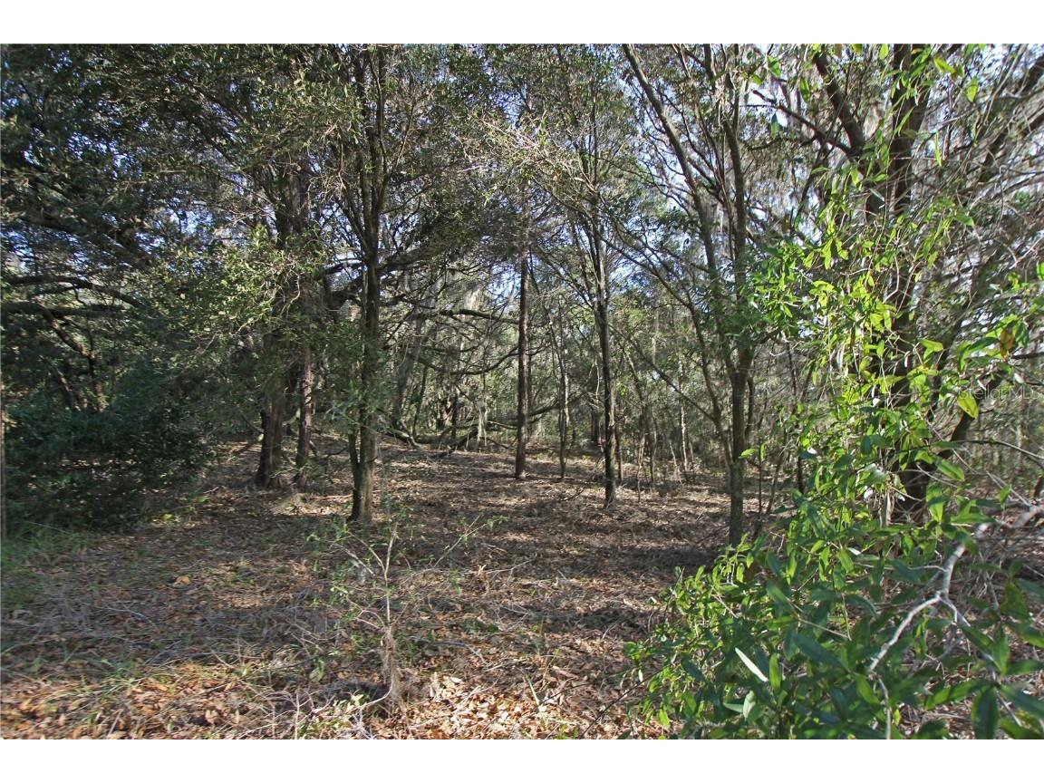 0 Patricia Drive Bartow FL 33830 L4948414 image30