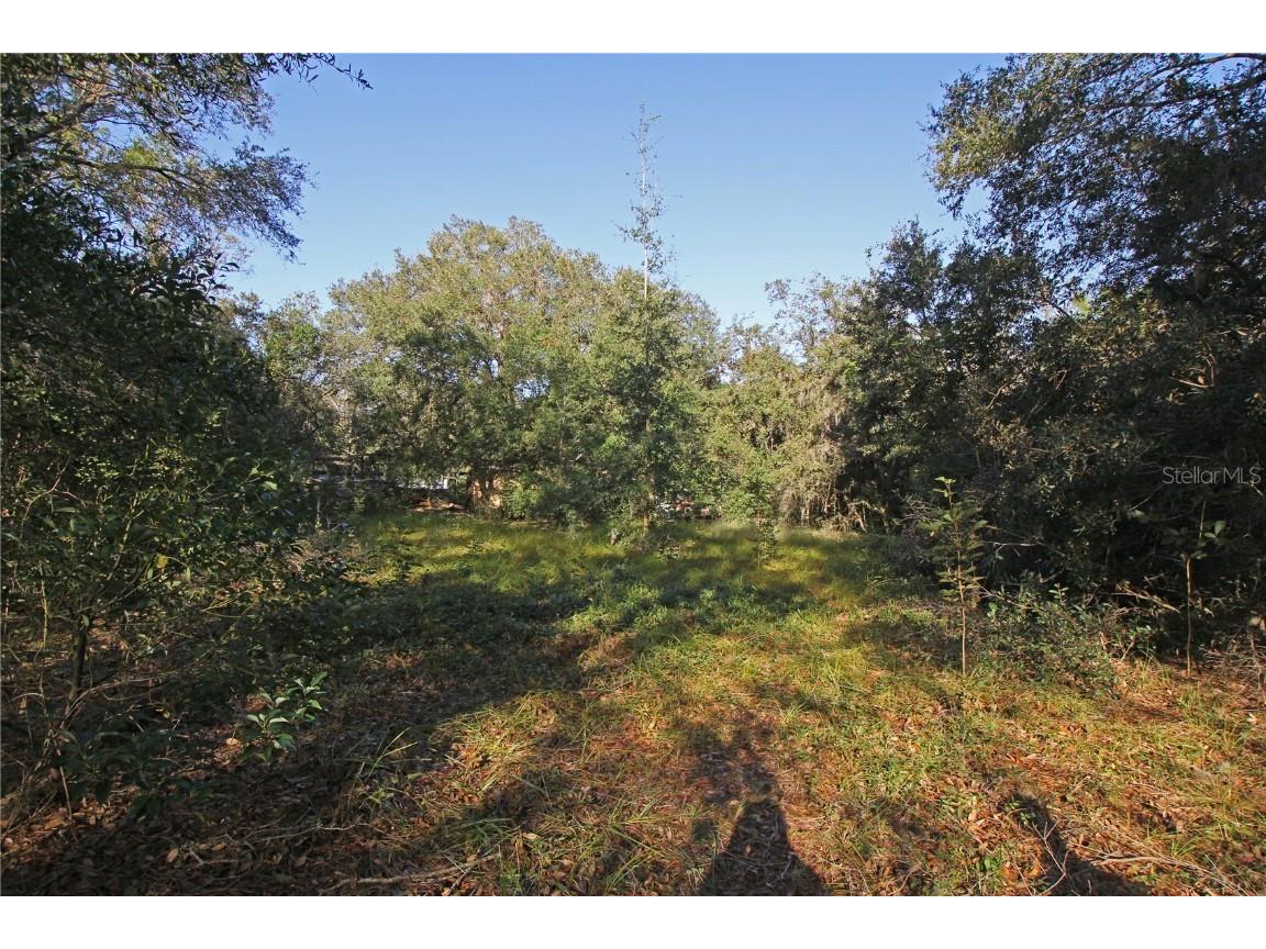 0 Patricia Drive Bartow FL 33830 L4948414 image31