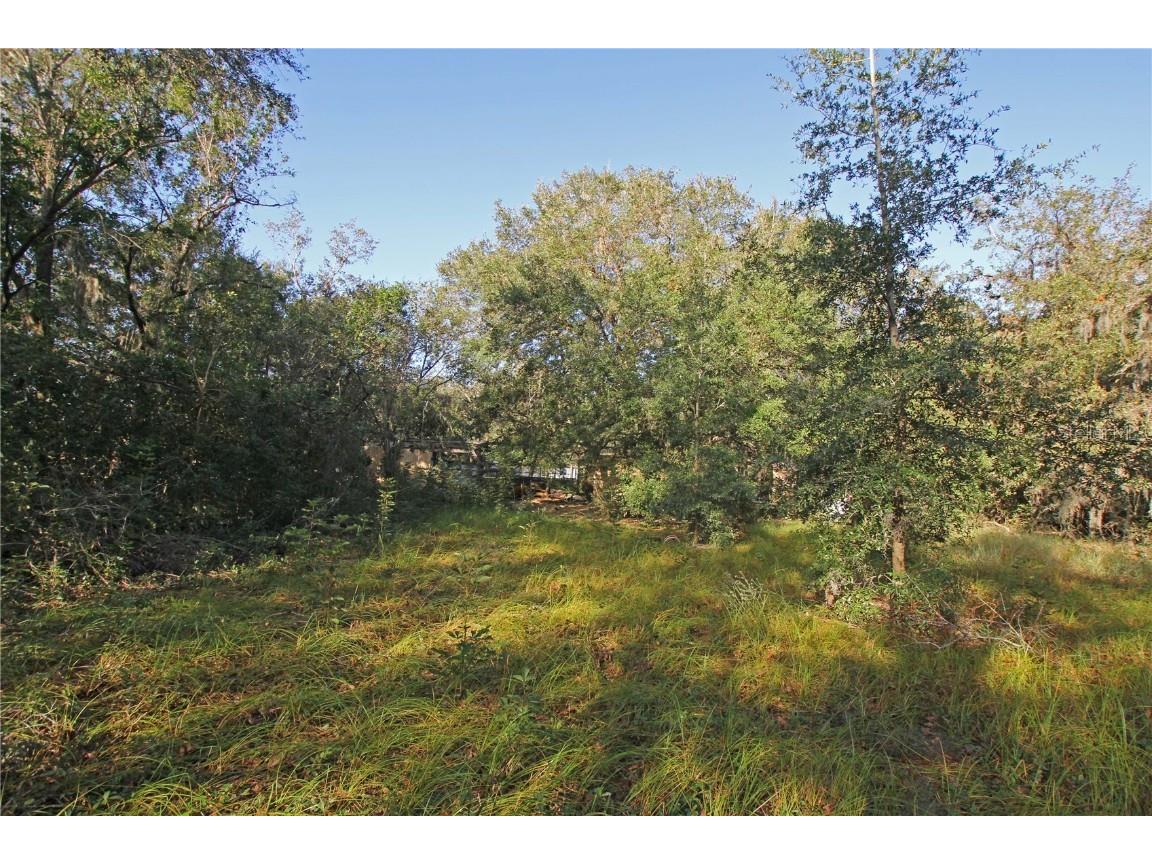 0 Patricia Drive Bartow FL 33830 L4948414 image32