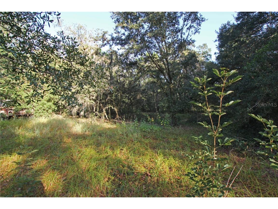 0 Patricia Drive Bartow FL 33830 L4948414 image33