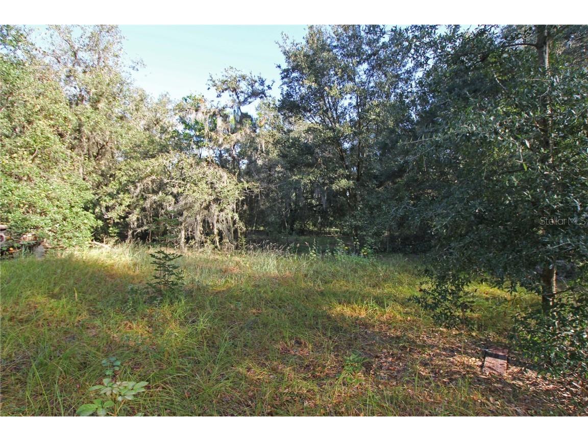 0 Patricia Drive Bartow FL 33830 L4948414 image34