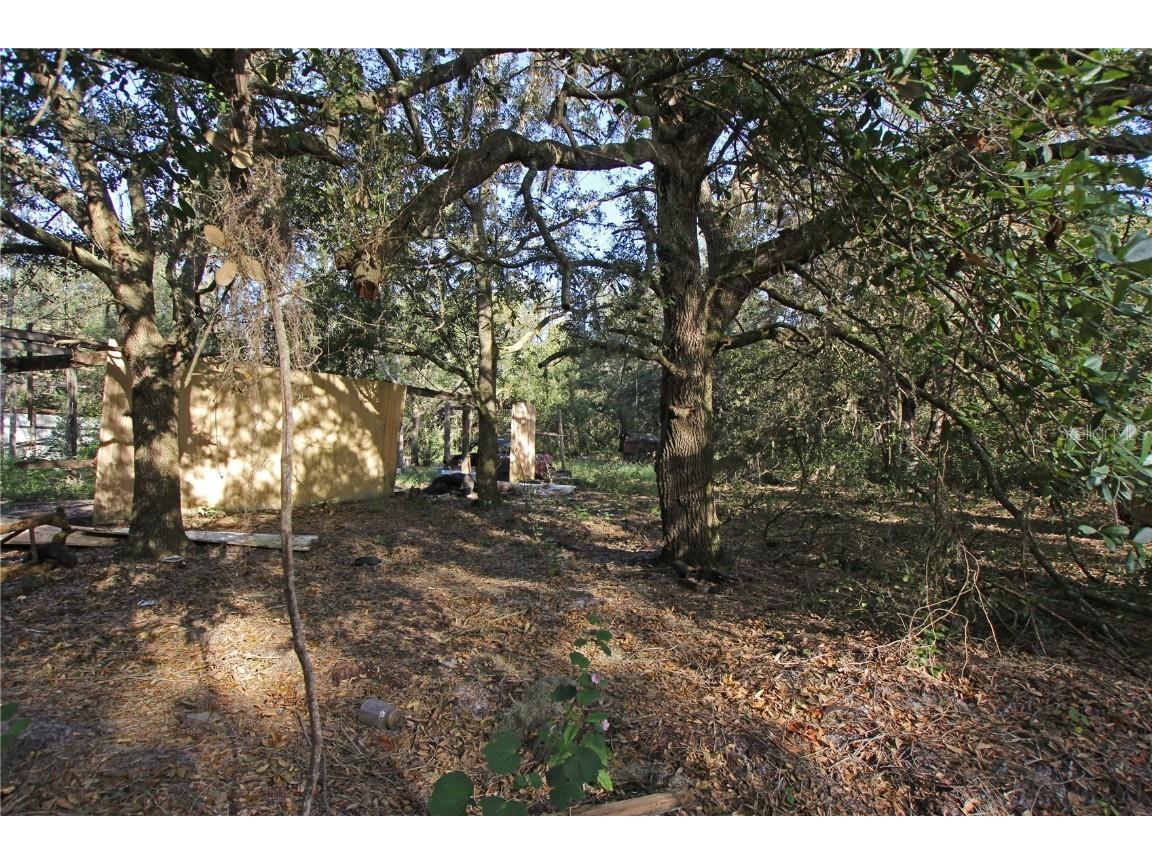 0 Patricia Drive Bartow FL 33830 L4948414 image35