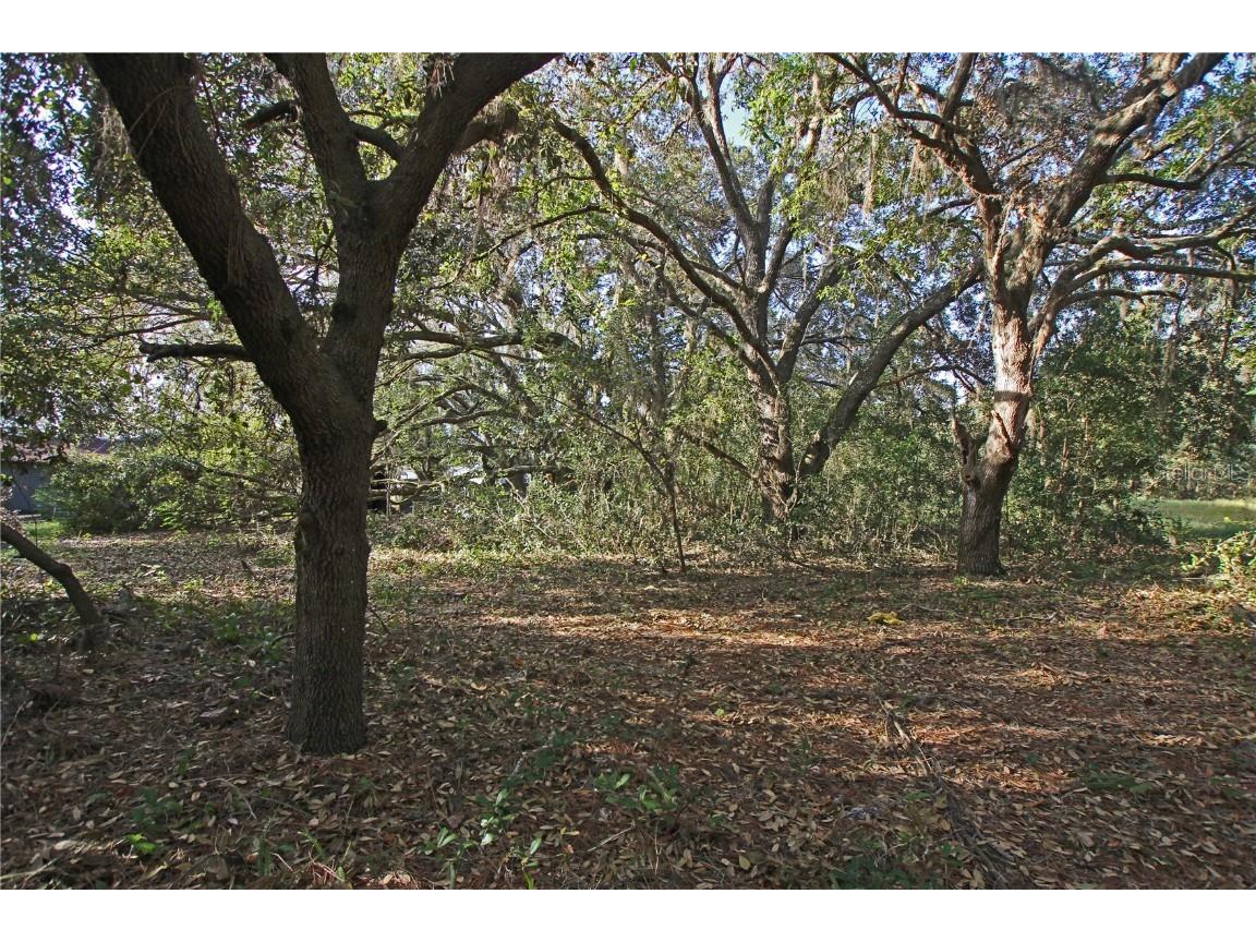 0 Patricia Drive Bartow FL 33830 L4948414 image39