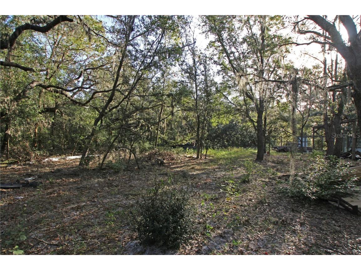 0 Patricia Drive Bartow FL 33830 L4948414 image4