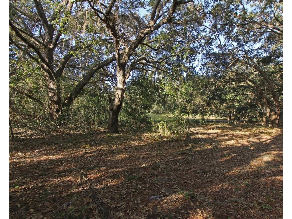 0 Patricia Drive Bartow FL 33830 L4948414 image40