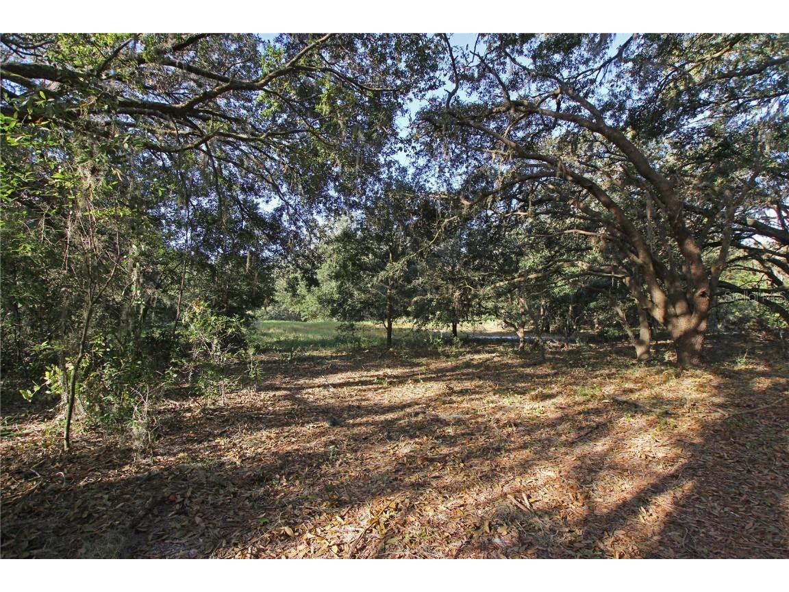 0 Patricia Drive Bartow FL 33830 L4948414 image41