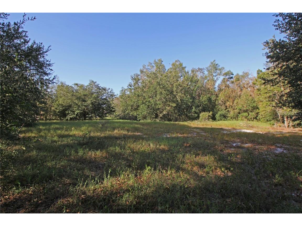 0 Patricia Drive Bartow FL 33830 L4948414 image42