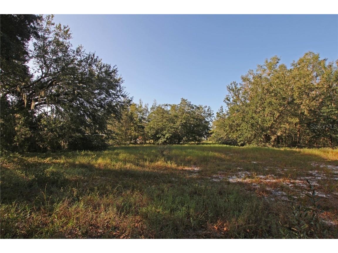 0 Patricia Drive Bartow FL 33830 L4948414 image43