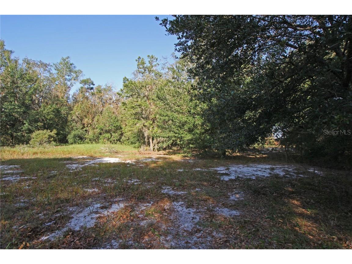 0 Patricia Drive Bartow FL 33830 L4948414 image44