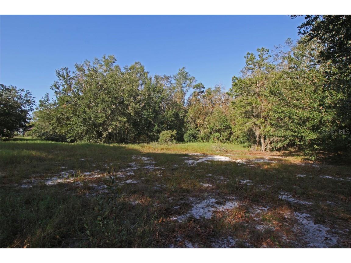 0 Patricia Drive Bartow FL 33830 L4948414 image45