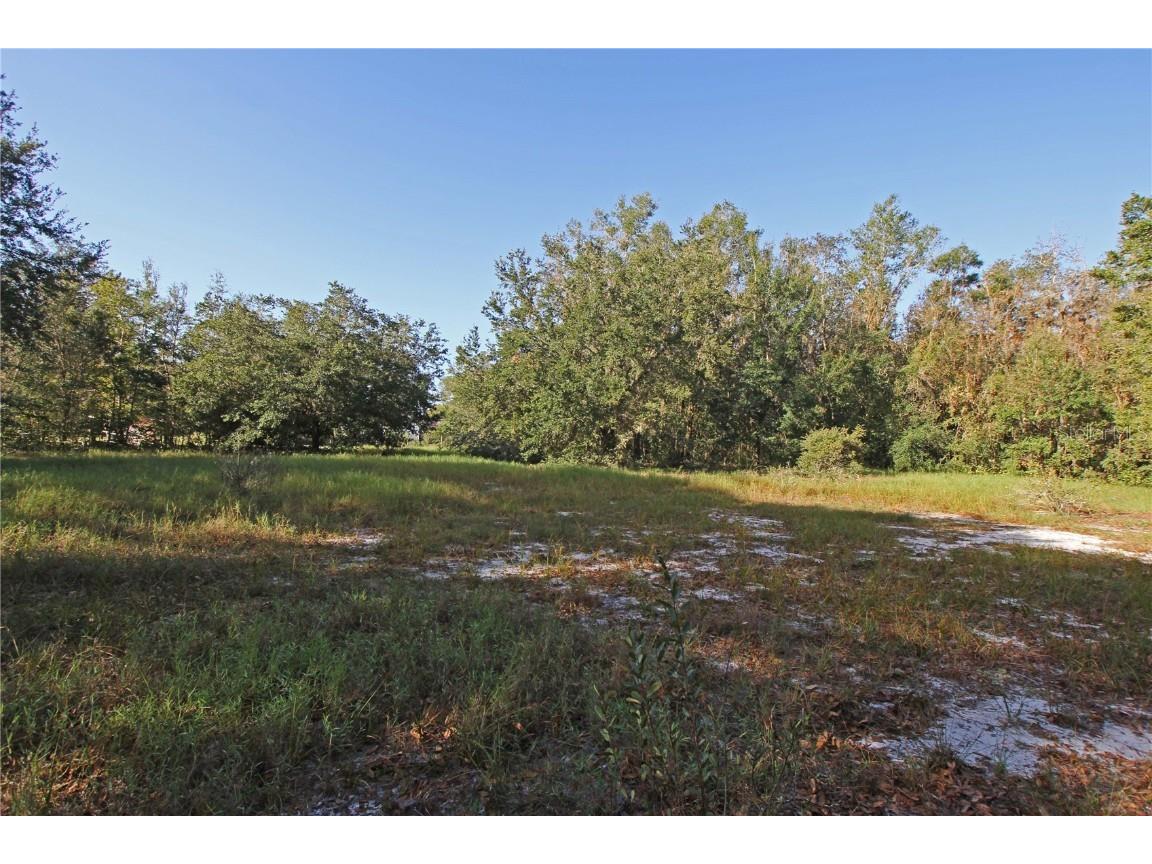 0 Patricia Drive Bartow FL 33830 L4948414 image46