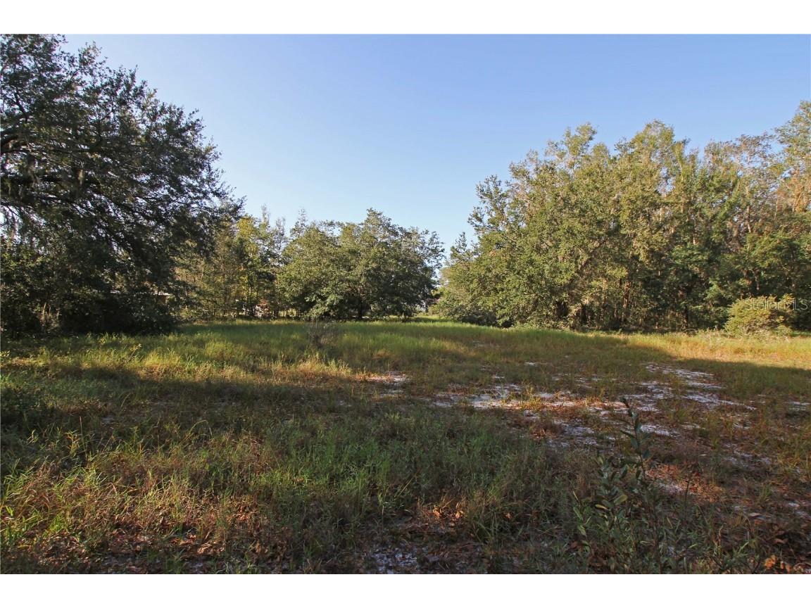 0 Patricia Drive Bartow FL 33830 L4948414 image47