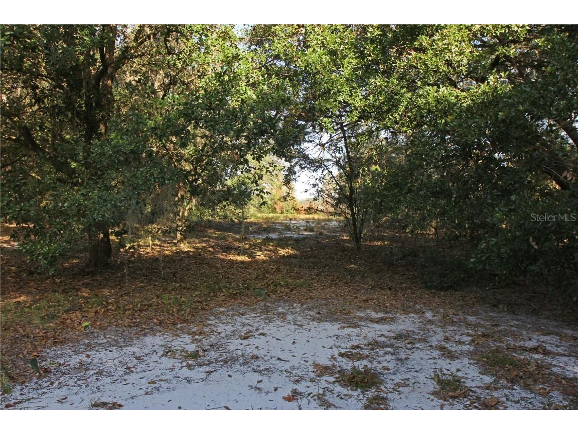 0 Patricia Drive Bartow FL 33830 L4948414 image49