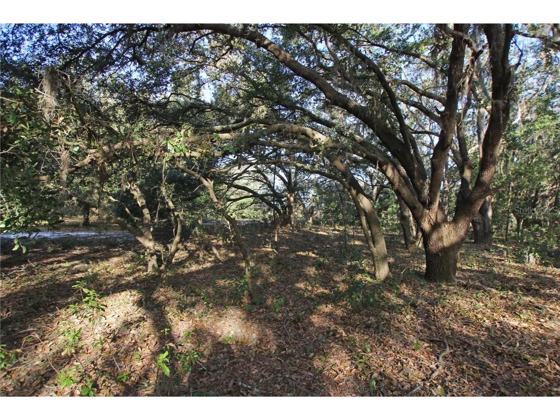 0 Patricia Drive Bartow FL 33830 L4948414 image50