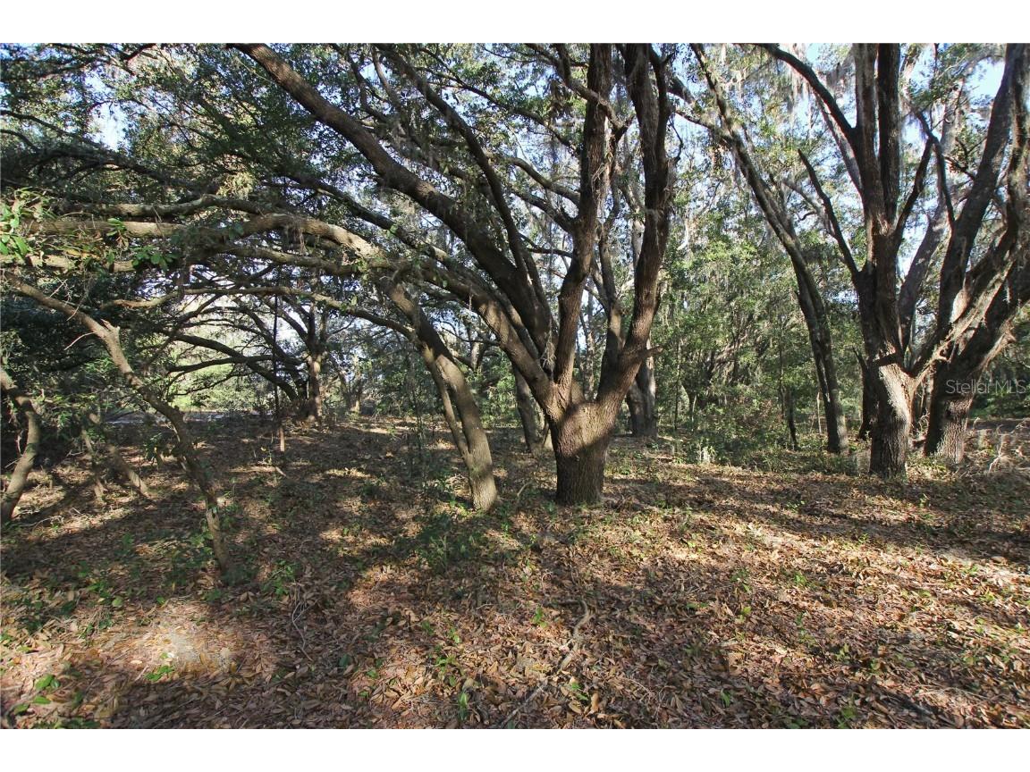 0 Patricia Drive Bartow FL 33830 L4948414 image51