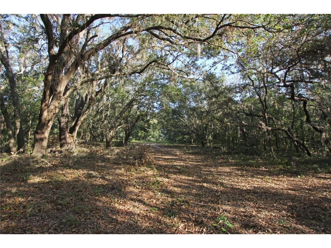 0 Patricia Drive Bartow FL 33830 L4948414 image52