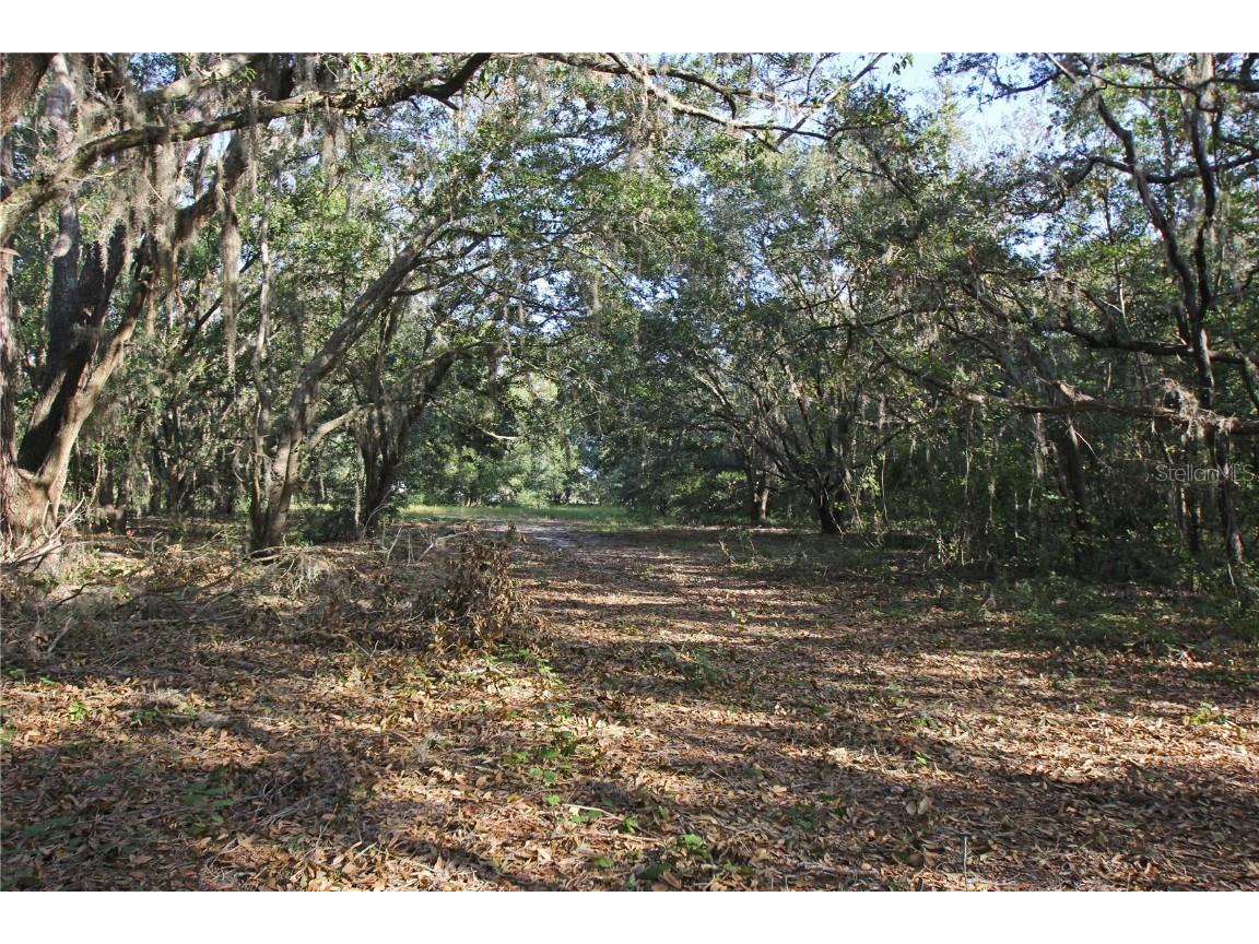 0 Patricia Drive Bartow FL 33830 L4948414 image53