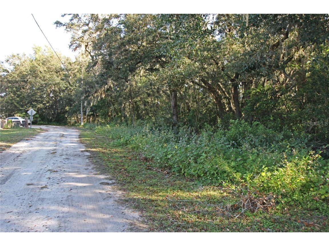 0 Patricia Drive Bartow FL 33830 L4948414 image57