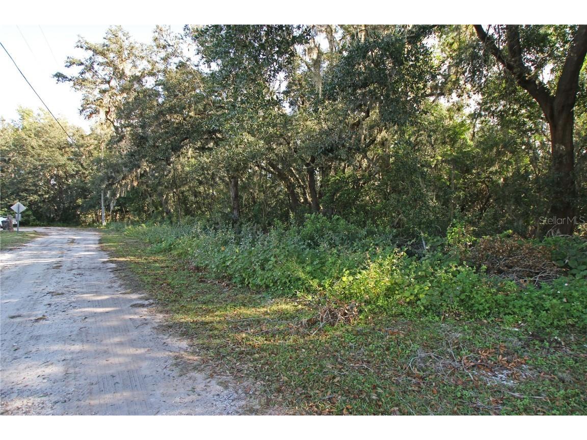 0 Patricia Drive Bartow FL 33830 L4948414 image58