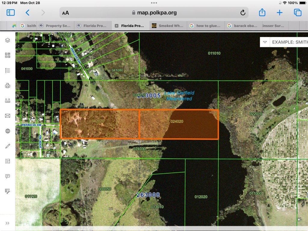 0 Patricia Drive Bartow FL 33830 L4948414 image59