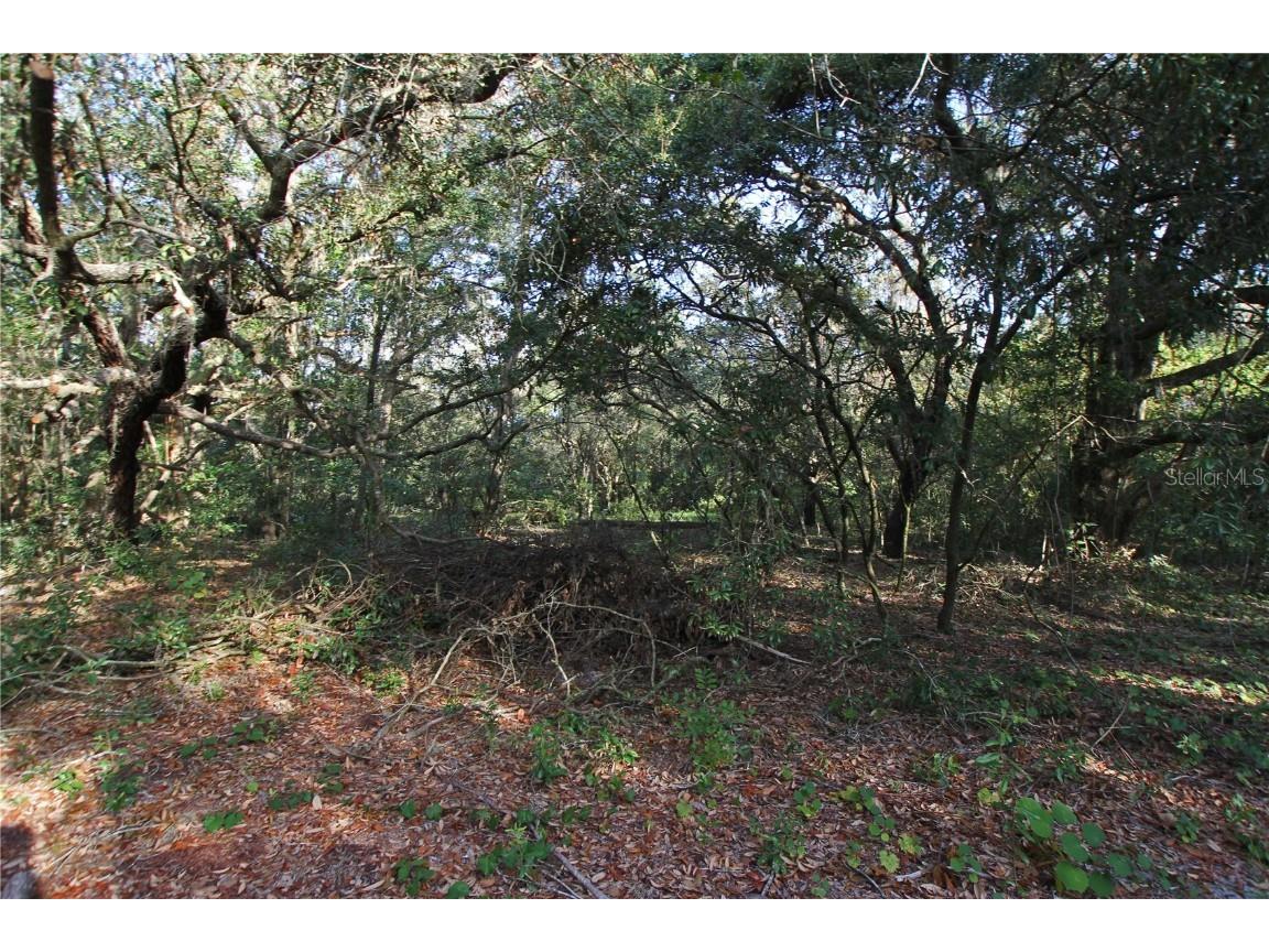 0 Patricia Drive Bartow FL 33830 L4948414 image7