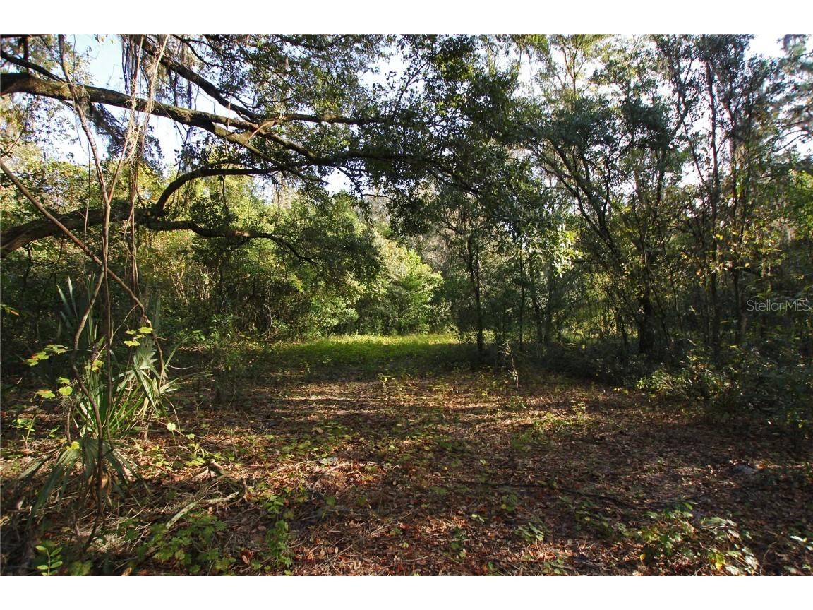 0 Patricia Drive Bartow FL 33830 L4948414 image8