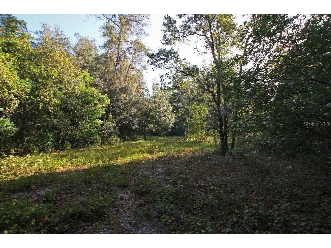 0 Patricia Drive Bartow FL 33830 L4948414 image9