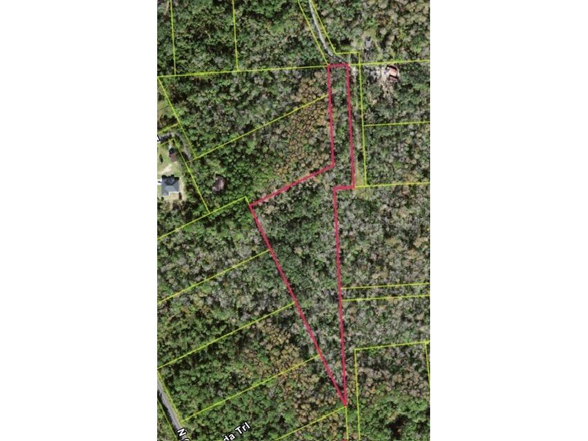 0 Patricia Trail Kissimmee FL 34747 S5151533 image2