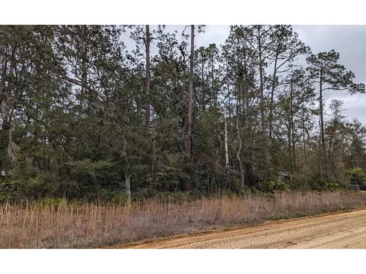 0 Patti Interlachen FL 32148 J971513 image1