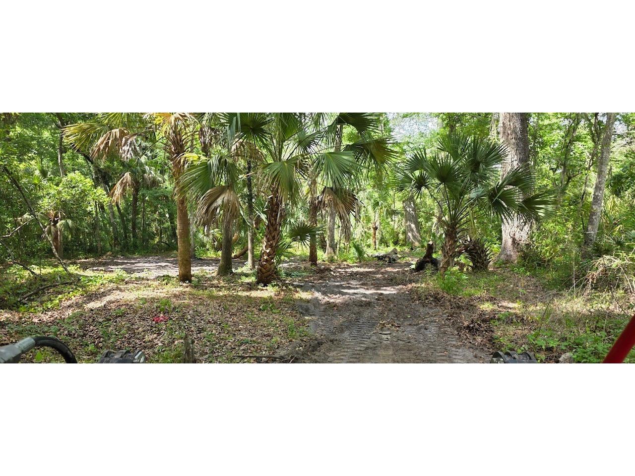 0 Paul S Buchman Highway Zephyrhills FL 33540 TB8505802 image1