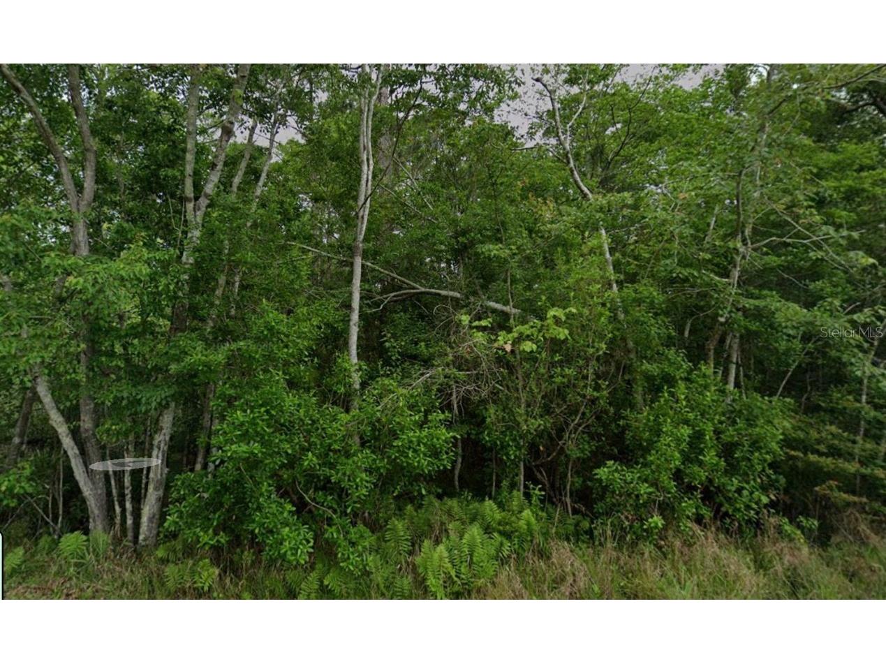 0 Pearson Road Milton FL 32583 W7873871 image4