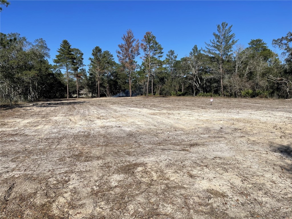 0 Penhall Avenue Weeki Wachee FL 34614 T3425572 image1