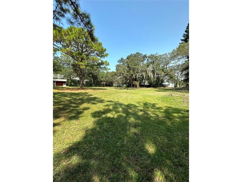 0 Pennsylvania Avenue Palm Harbor FL 34683 TB8361973 image2