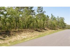 0 Petrel Avenue Weeki Wachee FL 34614 W7882049 image1