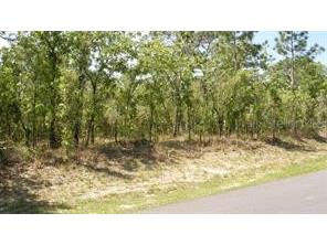 0 Petrel Avenue Weeki Wachee FL 34614 W7882049 image2