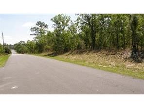 0 Petrel Avenue Weeki Wachee FL 34614 W7882049 image3