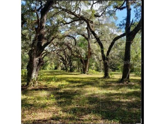 0 Phillips Road Brooksville FL 34604 W7855316 image1